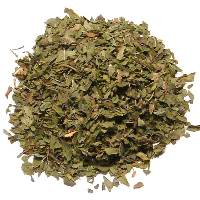 SPEARMINT LEAVES CUT EGYPT